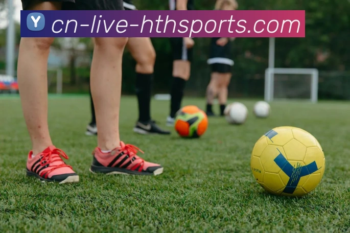 华体会hth服务体系